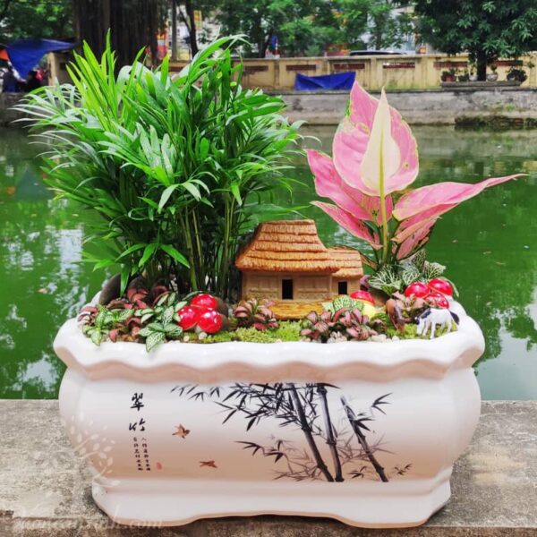 Cây cau tiểu trâm để bàn mini - Vườn cây xinh