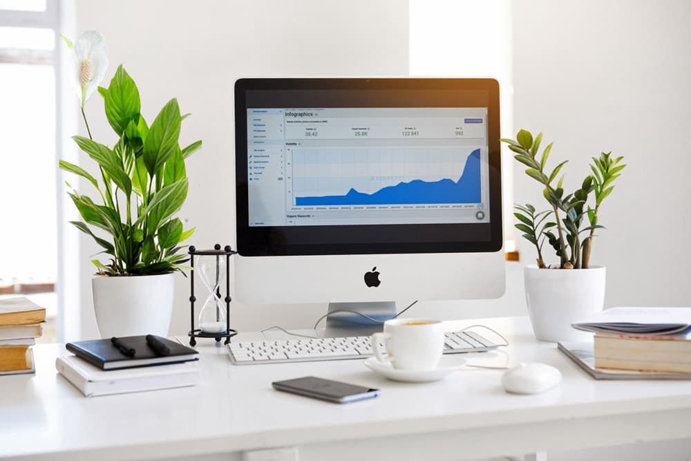 Cây lan ý để bàn làm việc - Vườn cây xinh