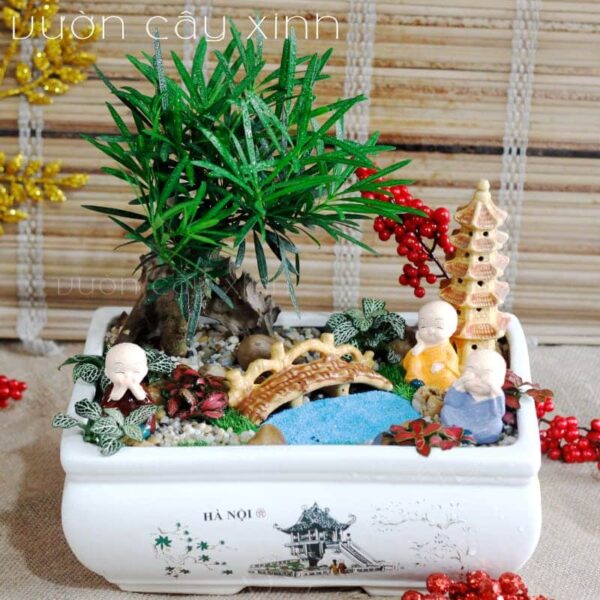 Tùng la hán để bàn | Tùng la hán bonsai - Vườn cây xinh