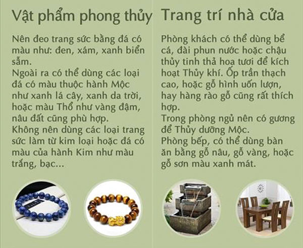 Cây hợp mệnh mộc | Mệnh mộc hợp cây gì? Vườn Cây Xinh