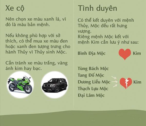 Cây hợp mệnh mộc | Mệnh mộc hợp cây gì? Vườn Cây Xinh