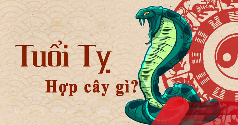 Tuổi Tỵ hợp cây gì? Vườn Cây Xinh