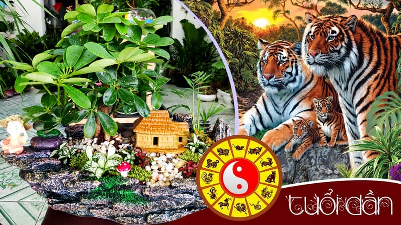 Người tuổi Dần hợp cây gì? Vườn Cây Xinh