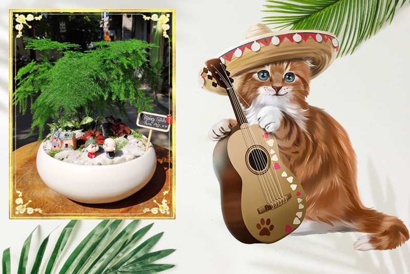 Tuổi Ất Mão 1975 hợp cây gì? Vườn Cây Xinh