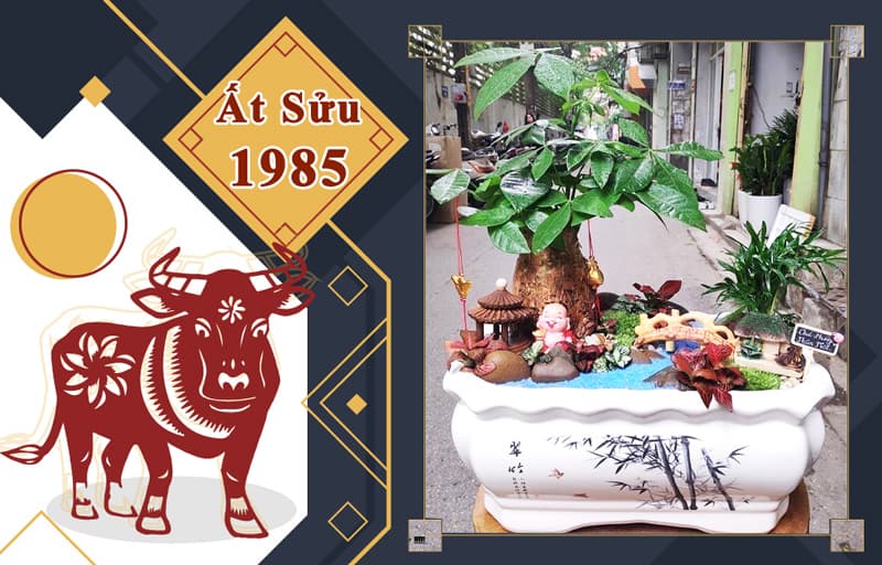 Tuổi Ất Sửu 1985 hợp cây gì? Vườn Cây Xinh