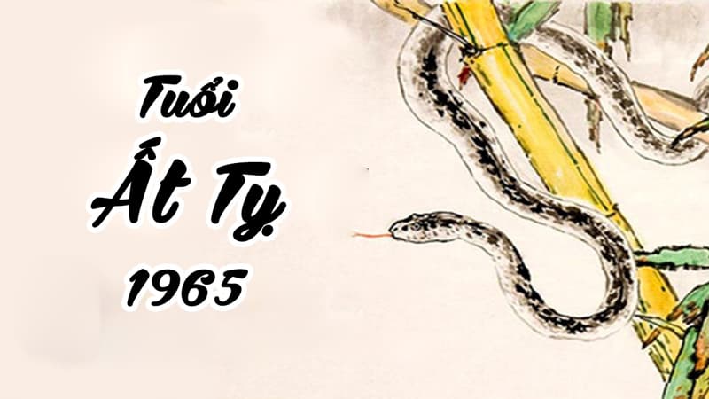 Tuổi Ất Tỵ 1965 hợp cây gì? Vườn Cây Xinh