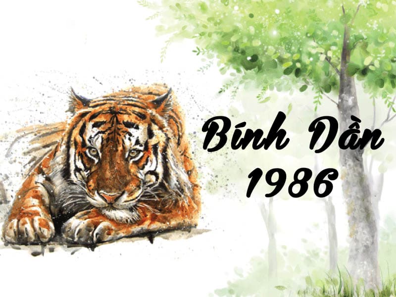Tuổi Bính Dần 1986 hợp cây gì? Vườn Cây Xinh