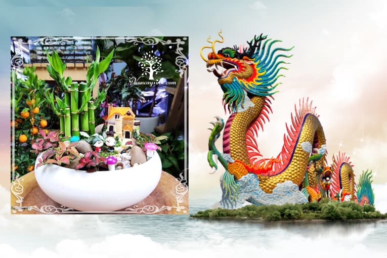 Tuổi Bính Thìn 1976 hợp cây gì? Vườn Cây Xinh