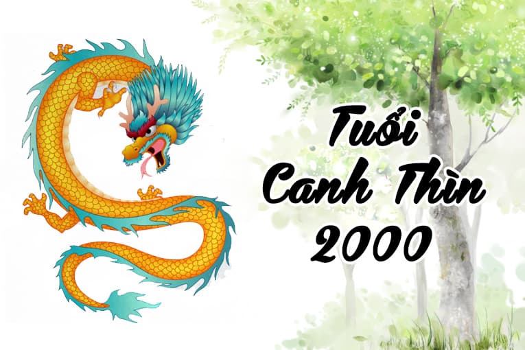 Tuổi Canh Thìn 2000 hợp cây gì? Vườn Cây Xinh