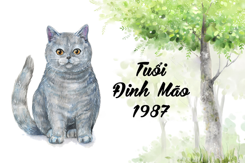 Tuổi Đinh Mão 1987 hợp cây gì? Vườn Cây Xinh