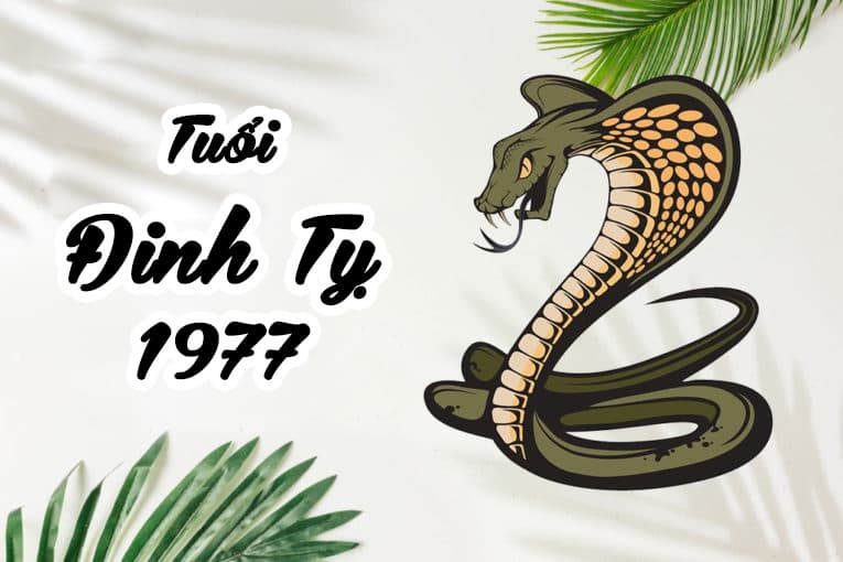 Tuổi Đinh Tỵ 1977 hợp cây gì? Vườn Cây Xinh