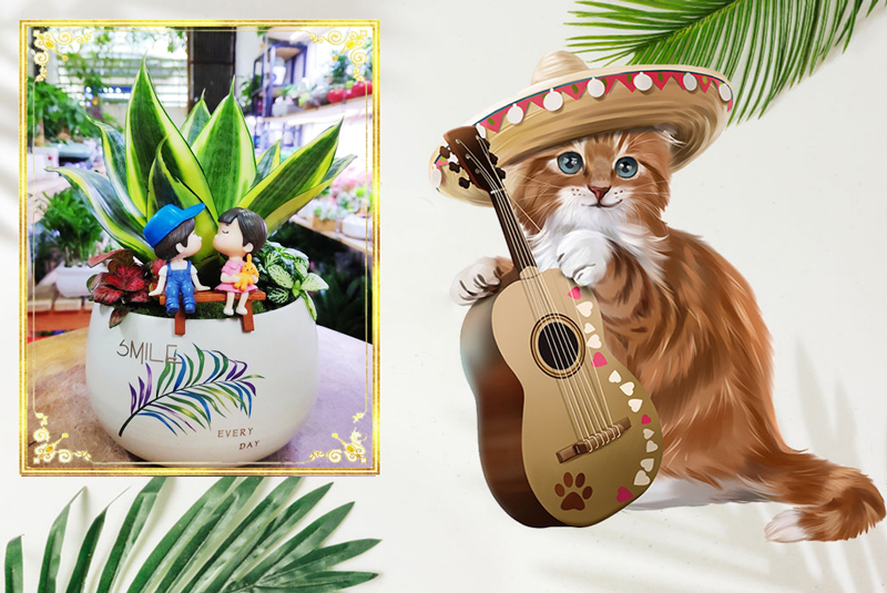 Tuổi Kỷ Mão 1999 hợp cây gì? Vườn Cây Xinh