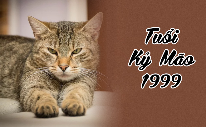 Tuổi Kỷ Mão 1999 hợp cây gì? Vườn Cây Xinh