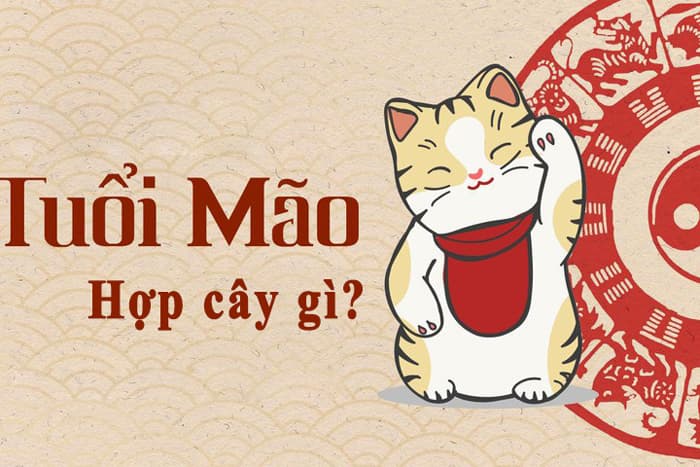 Tuổi Mão hợp cây gì? Cây phong thủy tuổi Mão | Vườn Cây Xinh