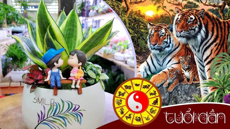 Tuổi Mậu Dần 1998 hợp cây gì? Vườn Cây Xinh