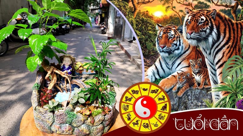 Tuổi Nhâm Dần 1962 hợp cây gì? Vườn Cây Xinh