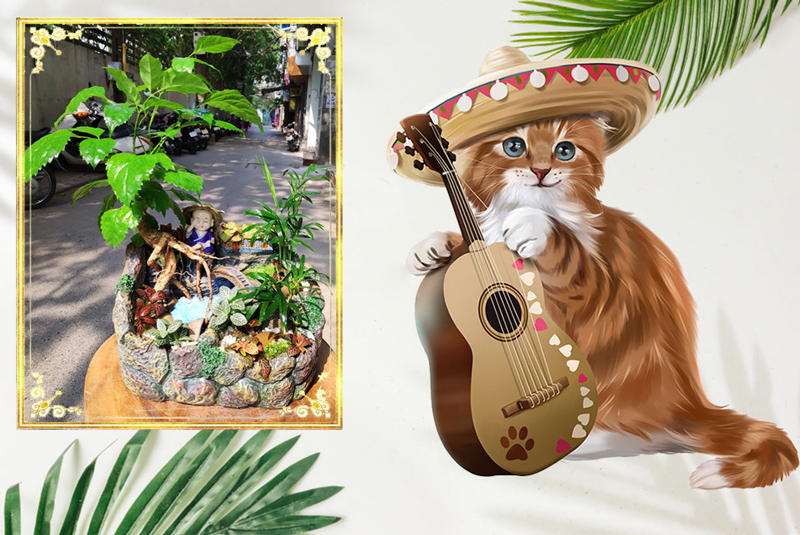 Tuổi Quý Mão 1963 hợp cây gì? Vườn Cây Xinh