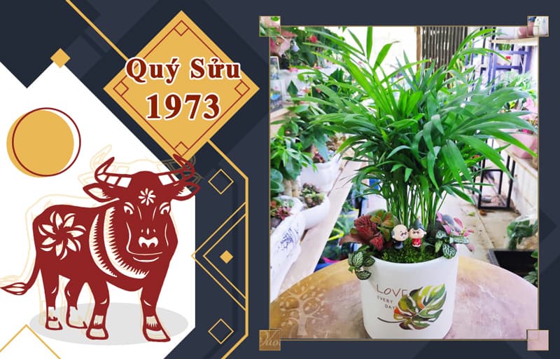 Tuổi Quý Sửu 1973 hợp cây gì? Vườn Cây Xinh