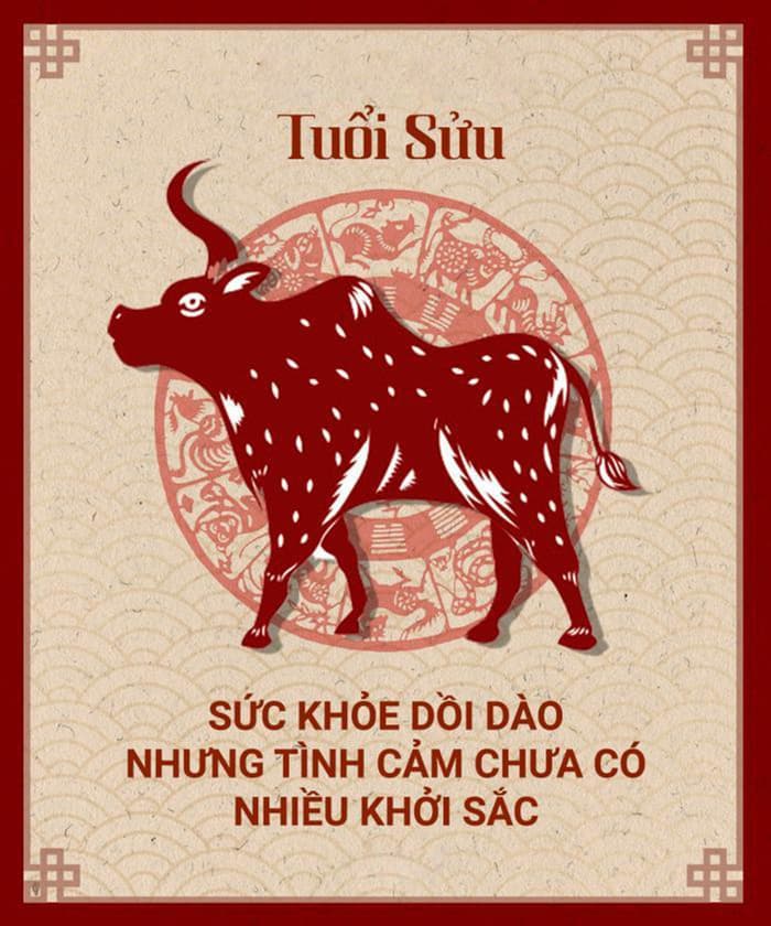 Tuổi Sửu hợp cây gì? Cây để bàn hợp tuổi Sửu | Vườn Cây Xinh