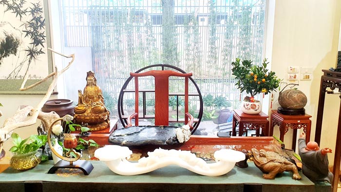 Cây quất ngày Tết | Quất Tết