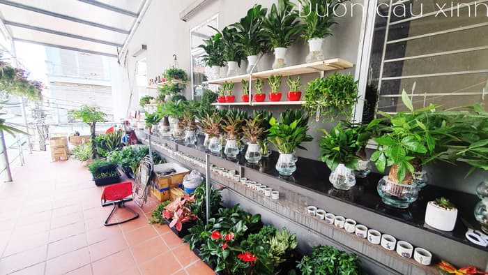 Quà tặng doanh nghiệp đối tác | Vườn Cây Xinh