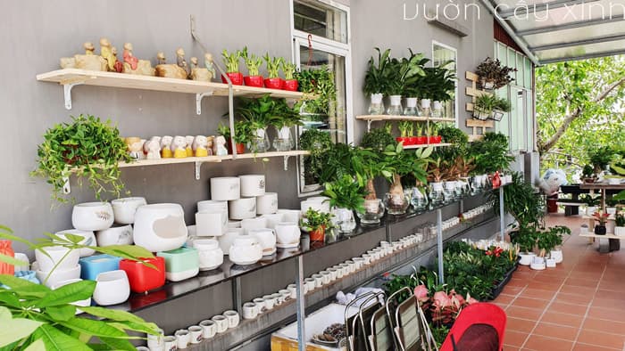 Quà tặng doanh nghiệp đối tác | Vườn Cây Xinh