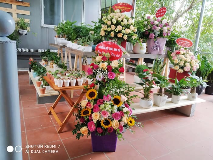 Hoa tặng khai trương cửa hàng
