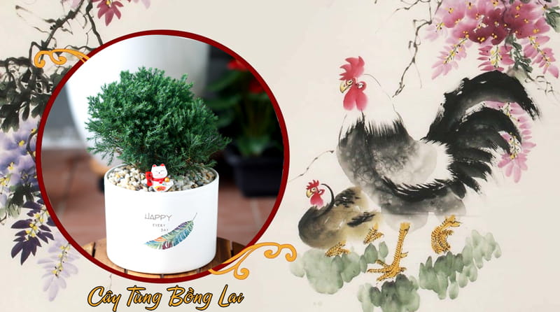 Tuổi Ất Dậu 2005 Hợp Cây Gì? Tuổi Dậu Hợp Cây Gì?