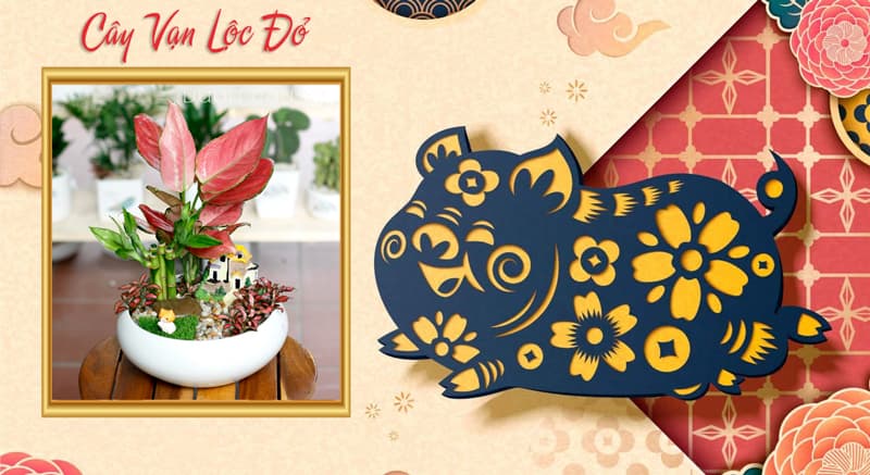 Tuổi Ất Hợi 1995 hợp cây gì? Tuổi Hợi hợp cây gì?