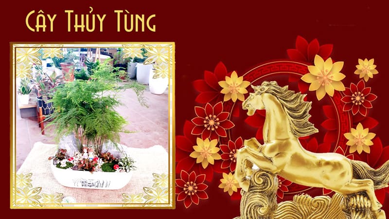 Tuổi Bính Ngọ 1966 hợp cây gì | Tuổi ngọ hợp cây gì