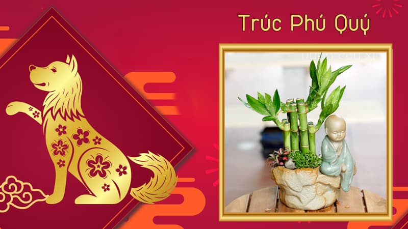 Tuổi Bính Tuất 2006 hợp cây gì? Tuổi Tuất hợp cây gì