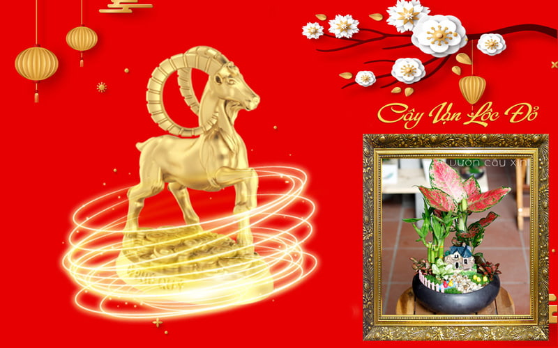 Tuổi Kỷ Mùi 1979 hợp cây gì? Tuổi Mùi hợp cây gì