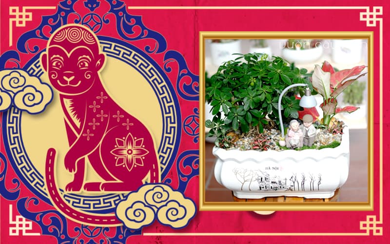 Tuổi Mậu Thân 1968 hợp cây gì? Tuổi Thân hợp cây gì