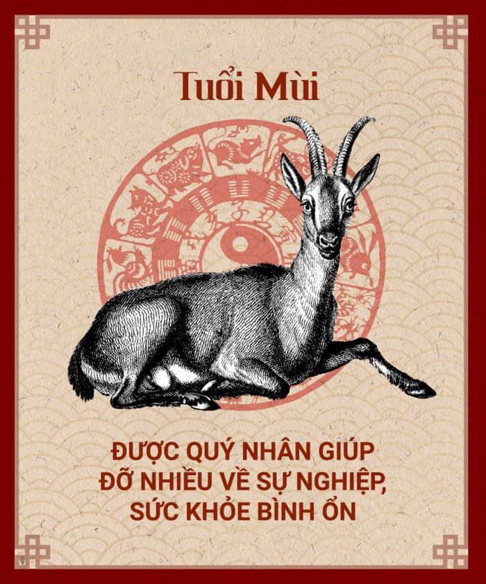 Tuổi mùi hợp cây gì | Cây phong thủy tuổi mùi