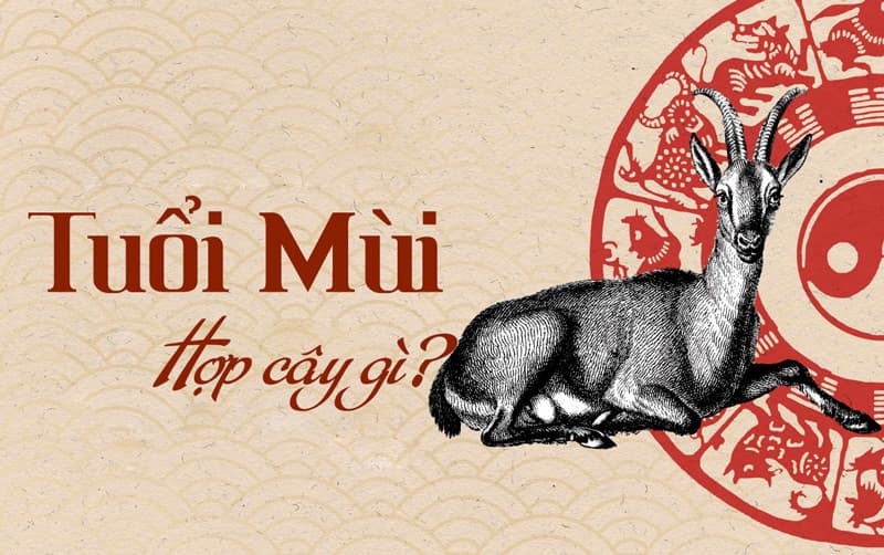 Tuổi mùi hợp cây gì | Cây phong thủy tuổi mùi