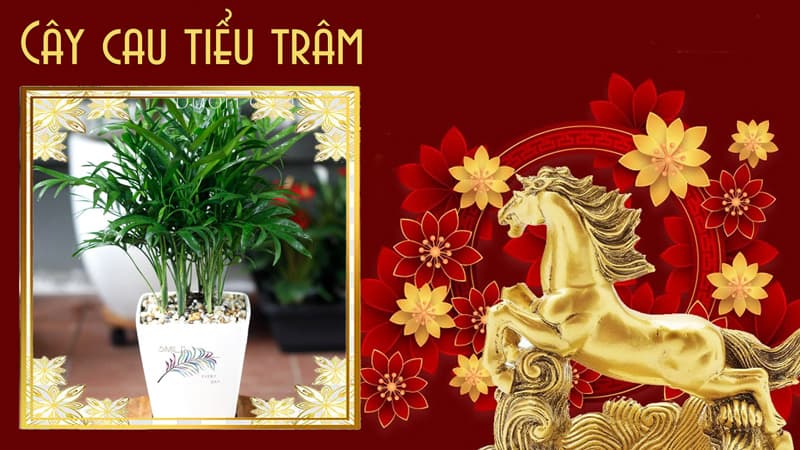 Tuổi Nhâm Ngọ 2002 hợp cây gì | Tuổi ngọ hợp cây gì