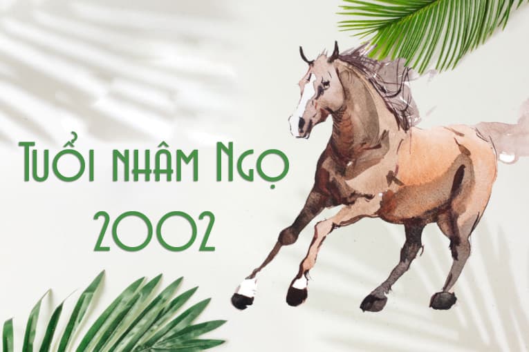 Tuổi Nhâm Ngọ 2002 hợp cây gì | Tuổi ngọ hợp cây gì
