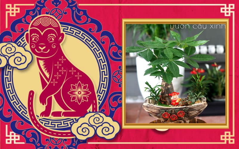 Tuổi Nhâm Thân 1992 hợp cây gì? Tuổi Thân hợp cây gì