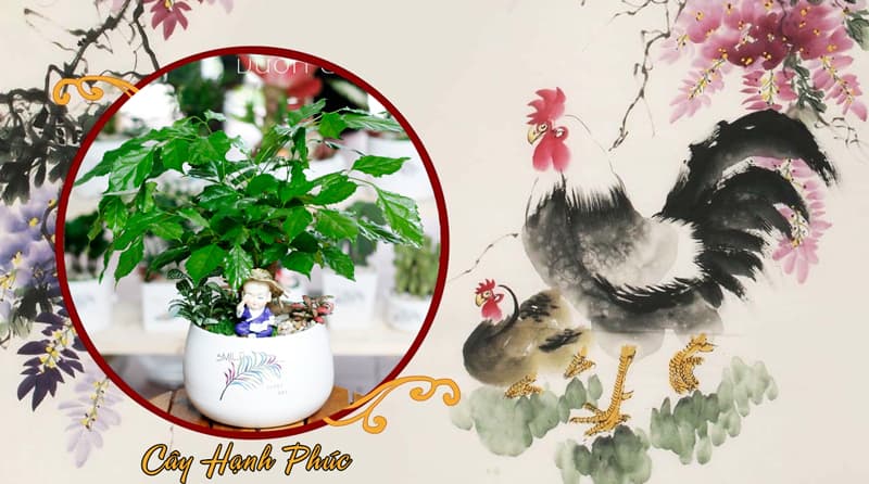 Tuổi Quý Dậu 1993 Hợp Cây Gì? Tuổi Dậu Hợp Cây Gì?