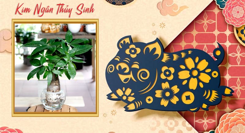 Tuổi Quý Hợi 1983 hợp cây gì? Tuổi Hợi hợp cây gì?