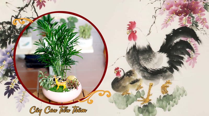 Tuổi Tân Dậu 1981 Hợp Cây Gì? Tuổi Dậu Hợp Cây Gì?