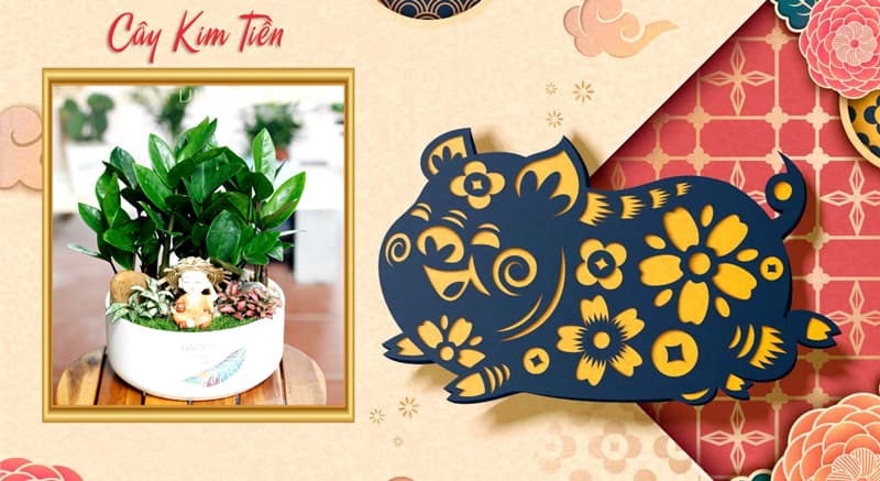 Tuổi Tân Hợi 1971 hợp cây gì? Tuổi Hợi hợp cây gì?