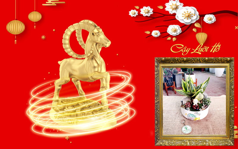 Tuổi Tân Mùi 1991 hợp cây gì? Tuổi Mùi hợp cây gì