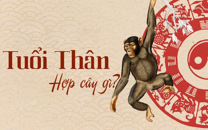 Tuổi Thân hợp cây gì? Cây phong thủy tuổi Thân