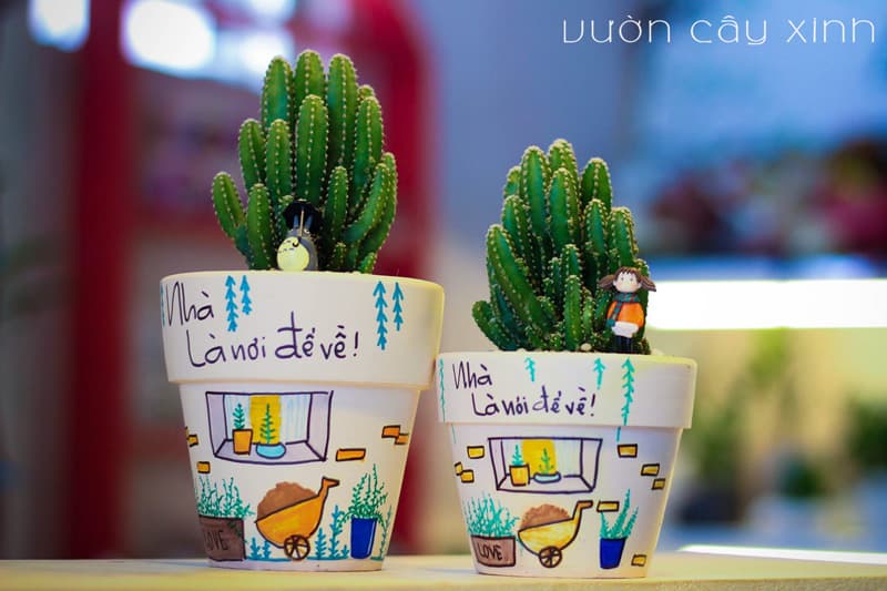 Xương Rồng Thanh Sơn - Xương Rồng Mini | Vườn Cây Xinh