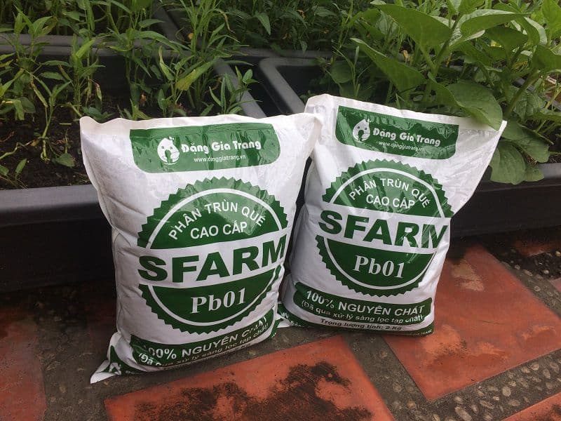 Phân trùn quế - cách chăm sóc cây kim tiền luôn khỏe mạnh, tươi tốt