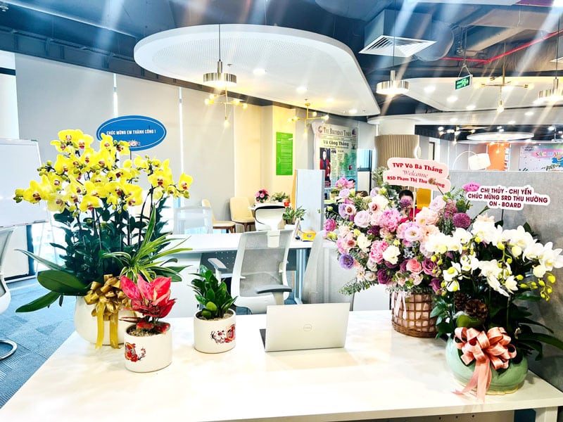 Cây Kim Tiền Để Bàn Tặng Khai Trương