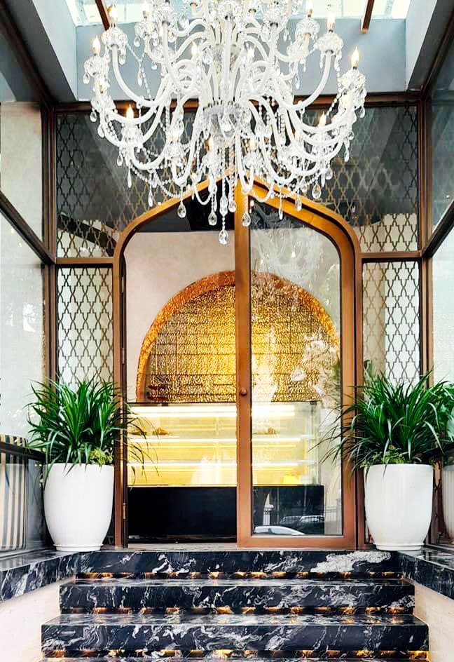 Cây phát tài núi | Cây cảnh tặng khai trương