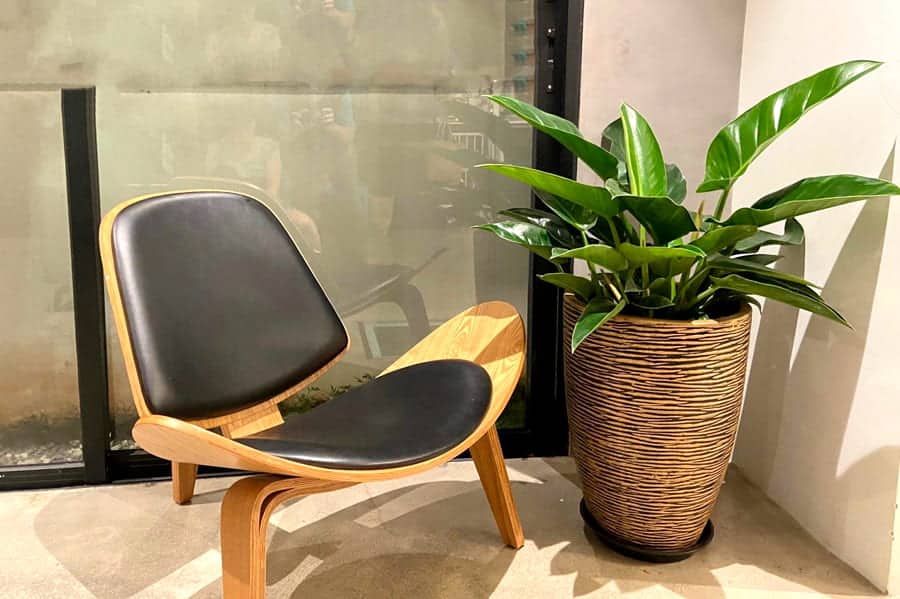 Top 21 Cây mừng Khai Trương Mừng Khởi Đầu "Hồng Phát"