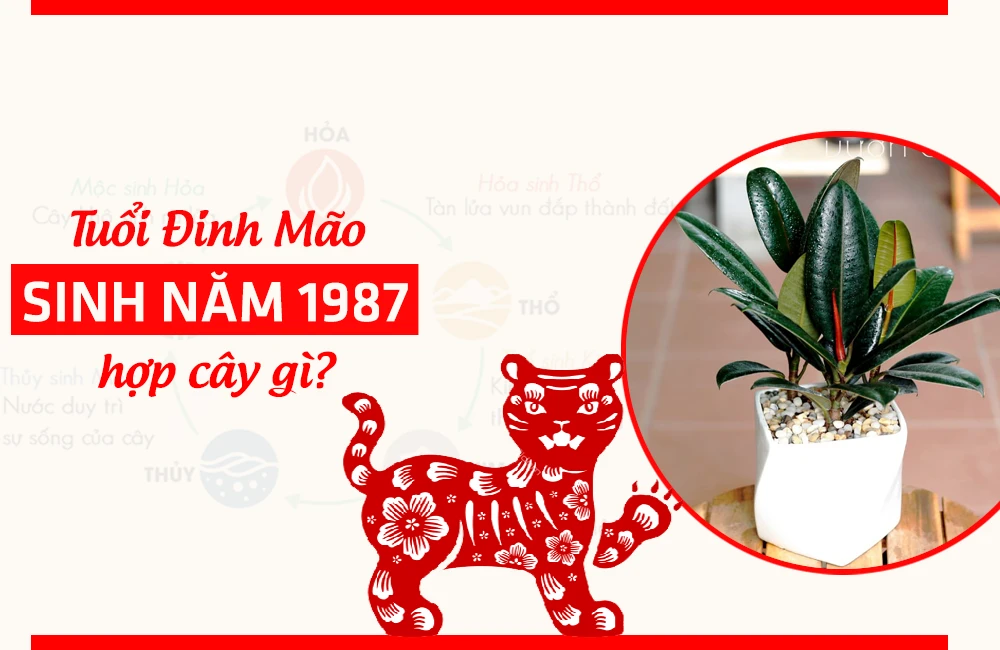 Cây hợp mệnh Hỏa 1987: Tuổi Đinh Mão hợp cây gì năm 2024